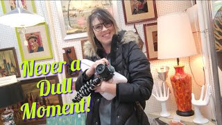 Never a Dull Moment! - Shop Along With Me - Adamstown PA - Mad Hatter & The Vintage Kitchen