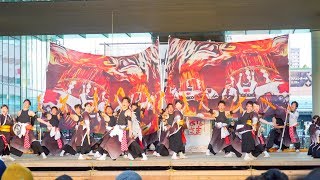 [4K]信衆 　一般U40 1位　浜松がんこ祭り2018 ファイナル