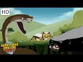 ¡Batallas de criaturas! | Cada enfrentamiento de criaturas Parte 1-13 | Aventuras con los Kratt