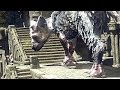 The Last Guardian PS4 Gameplay