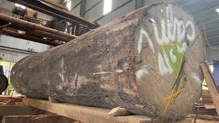 Amazing Sawmill Wood Cutting | Woodworking Processing Factory Modern Technology