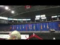 occa art troup peacock dance @ canada day folkfest 2013