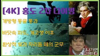 [4k] 홍도 다이빙 개방형 동굴 탐사 바다 속 파도(들쑥날쑥)로 개고생