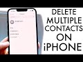 How To Delete Duplicate Contacts On iPhones!
