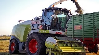 HD|Gras|Häckseln|Claas|Fendt|CaseIH|Landtwirtschaftliches Lohnunternehmen Blohm