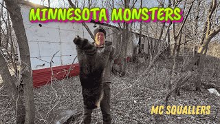 Hunting some of MINNESOTAS LARGEST RACCOONS!🦝🦝🦝#outdoors #hunting #wildlife #mcsquallers