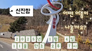 일주일만에 다시 찾은 신진항! 지난번보다 사이즈는 미달이지만,손맛 즐기고 왔습니다. 조과는 놀래미 다수,우럭 다수,망둥이1마리#낚린이#초딩낚시꾼#낚시가족#워킹낚시#신진항#신진도항