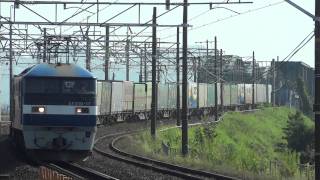 【HD】EF210-17 貨物列車(1055レ 桃太郎 0番台) JR東海道本線 穂積駅