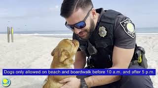 Seasonal Beach Rules Begin May 1 in Myrtle Beach