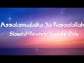 Assalamualaika Ya Rasulullah | Slowed+Reverb+Vocals Only | VocalsNeed