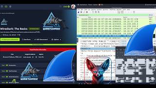 TryHackMe Wireshark: The Basics | Full Walkthrough 2026