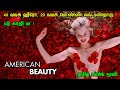 American Beauty (1999) Movie Explained in tamil | தமிழ் விளக்கம் | Mr Hollywood