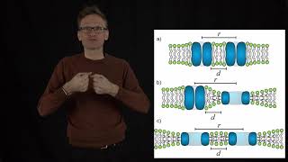 Concept 09: Mechanosensitive channels rely on hydrophobic mismatch for their function