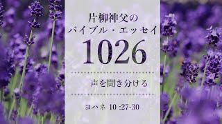 バイブル・エッセイ1026『声を聞き分ける』（聖書朗読とミサ説教：片柳弘史神父）