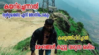 കോടയിൽ മുങ്ങിയ സ്വർഗ്ഗത്തിലേക്ക് ഒരു യാത്ര. l Jomon rajakad l idukki tourism l idukki tourist place