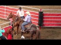 team cattle penning competition calgary stampede 2015