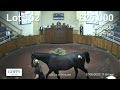 goffs uk spring store sale 2022 day 2