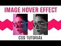 Black And White Filter With Captions On Hover Image CSS | CSS Image Hover Effects | CSS Tutorials