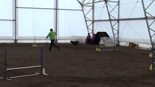 Chief 20150314 Jumpers