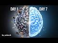 Reprogram Your Brain in 7 Days | Stop Addiction & Make New Habits Easily | Happy Brain Habits