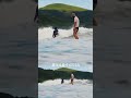 【親父と息子】こんなポジションで息子のサーフィンが見れて親父は最幸だろうな🤙 surf サーフィン