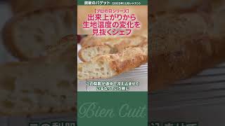 【プロ向け】生徒のパンを目の前で確認してここまでシェフは見抜きます　個別診断_1　#パン生地 #shorts   #パン研