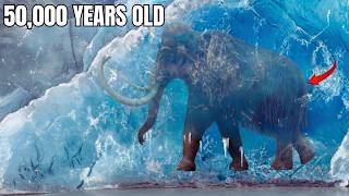 The Extinct Creatures We Found Frozen Beneath Ice | Documentary for Sleep