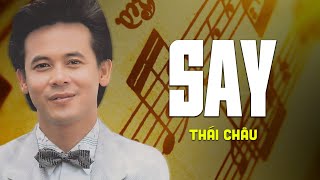 Say - Danh Ca Thái Châu | Tiếng Hát Trữ Tình Siêu Hay