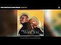 lebza thevillain u0026 nandi madida want you official audio