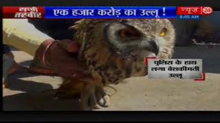 एक हजार करोड़ का उल्लू | 1000 Crore Rupees Owl