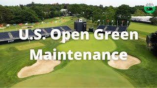 How U.S. Open grounds crew maintain greens | The Country Club at Brookline