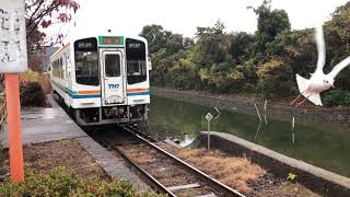 カモメとローカル電車　天浜線