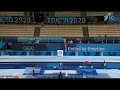 trampoline olympic champion tokyo 2020 litvinovich ivan final