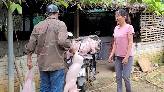 Take care of pigs and chickens.  Catch more piglets to raise.  (Episode 68).