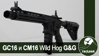 [Обзор от СК Таганай] GC16 Wild Hog 9\