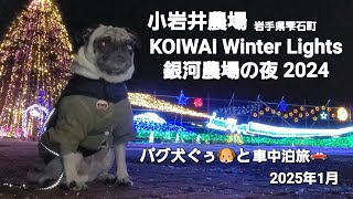 パグ犬ぐぅ🐶と車中泊旅🚗 2025年1月 岩手県雫石町「小岩井農場 KOIWAI Winter Lights 銀河農場の夜 2024」