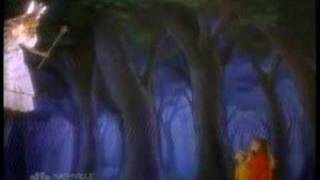 Falling Fairy.wmv