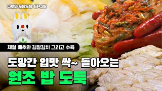 [EP.38] 도망간 입맛 싹~ 돌아오는 원조 밥도둑🍚 I 제철 배추와 김장김치 그리고 수육