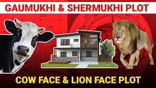 Vastu Tips For Gaumukhi & Shermukhi Plots | Residence & Business Vastu