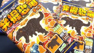 【型ぬき】キャラパキ 発掘恐竜チョコ - メテオバーストver - 【イカゲーム】 CHARA-PAKI  Excavated dinosaurs chocolate