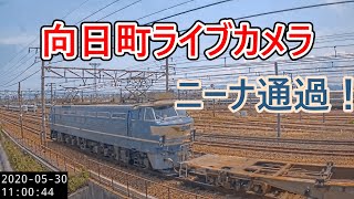 【向日町ライブカメラ】　EF66‐27号機　ニーナ通過！