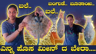 Mangalorians love... fish....ಮೀನು ತಿಂದು ಬುದ್ಧಿವಂತರಾದವರು ಯಾರು ಗೊತ್ತಾ? #tulutalks #kannadavlogs