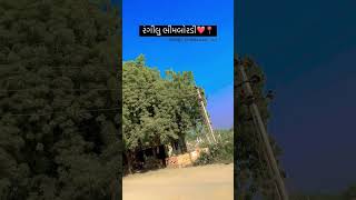 રંગીલુ ભિમબબોરડી,❤️❗#bhimbordi #villagelife #shortvideo #viralvideo #nature