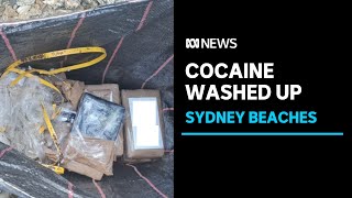 More packages of cocaine found washed up on NSW beaches | ABC News