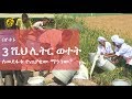 Fana TV: በጀነሲስ ፋርም ከ50 ቀን በፊት ጀምሮ እስከ ዛሬ በየዕለቱ 3 ሺህ ሊትር ወተት ለመደፋቱ ተጠያቂው ማን ነው?