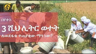 Fana TV: በጀነሲስ ፋርም ከ50 ቀን በፊት ጀምሮ እስከ ዛሬ በየዕለቱ 3 ሺህ ሊትር ወተት ለመደፋቱ ተጠያቂው ማን ነው?