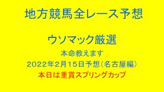 地方競馬（名古屋競馬）全レース予想！ウソマック厳選本命教えます。２０２２年２月１５日予想！本日は重賞スプリングカップ！