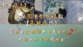 【7月後半】【福島県】相馬港釣果情報🎣水中映像と皆さんにお聞きしました🎵のコーナーです❗