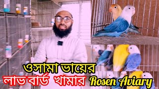 Rosen aviary লাভবার্ড পাখির খামার | Love birds farm in Bangladesh।@saadpakhirneer