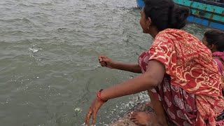 💥🔥mother and son catch fish together 🎣😇| hand fishing I smart boy catching Sea coast fish by hand 🤚